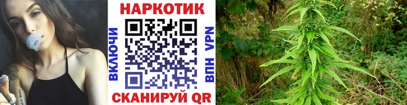 А ПВП Жуковка