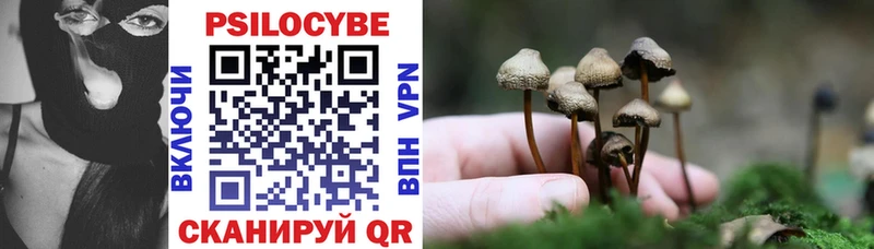 Галлюциногенные грибы мицелий  Жуковка 